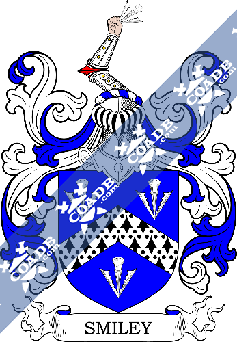 Smiley Coat of Arms 2.png